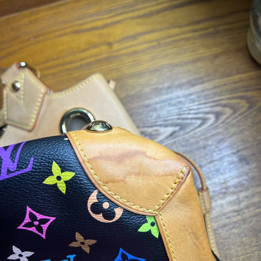 Louis Vuitton Multicolor Ursula - Picture 16 of 16